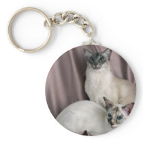 Balinese, blue tabby point and seal tortie point key chains