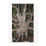 Balispirit Post Cards