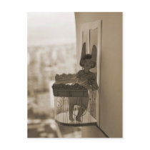 Balkony Postcard