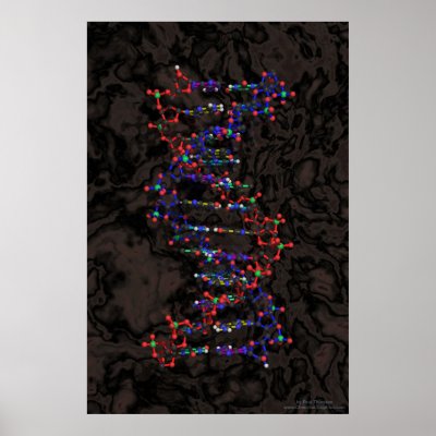 Ball and Stick against Granite Posters by ChemicalGraphics