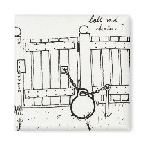 Ball & Chain magnet magnets