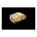 Ball Of Yarn Gold Quat posters by Sky_Blue_Hope Ball Of Yarn Gold Quat posters
