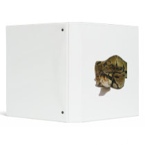 Ball python binder by journeyoftheanimals Ball python binder