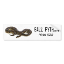 Ball Python bumper stickers
