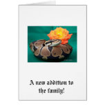 Ball Python, green background, orange rose Greeting Cards