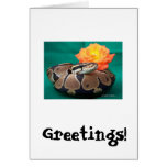 Ball Python, green background, orange rose Card