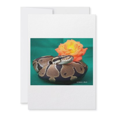 Ball Python, green background, orange rose Invites by SusansZooCrew
