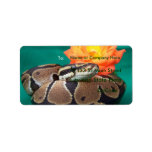 Ball Python, green background, orange rose Address Label