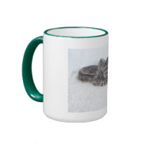 Ball Python mug