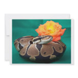 Ball python picture with orange rose green back personalized invite