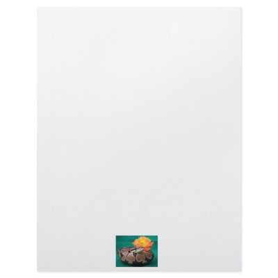 Ball python picture with orange rose green back custom letterhead by SusansZooCrew