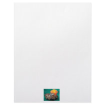 Ball python picture with orange rose green back custom letterhead