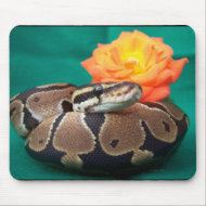 Ball python picture with orange rose green back mousepad