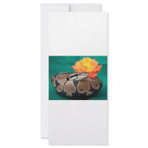 Ball python picture with orange rose green back full color rack card