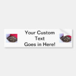 Ball Python Snake in Santa hat picture Bumper Sticker
