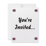 Ball Python Snake in Santa hat picture Invitations