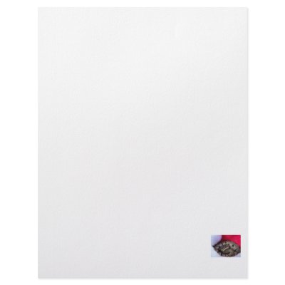 Ball Python Snake in Santa hat picture Personalized Letterhead by ChristmasAnimals