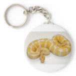 Ball Python Snakes Key Chain