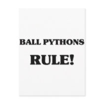 Ball Pythons Rule postcards