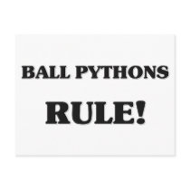 Ball Pythons Rule postcards