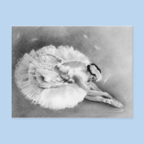 Ballerina Dying Swan Postcard