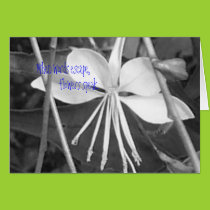 Ballerina Flower Blank Card cards