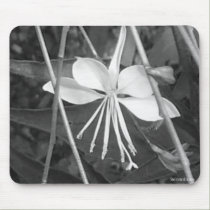 Ballerina Flower Mousepad mousepads