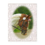 Ballerina Horse Postcards