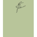 Ballerina t-shirts