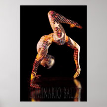 Ballet Dancer-4557XLG-Lum Print