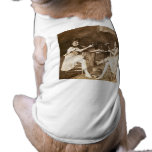 Ballet Dancers Drinking Beer - Vintage Stereoview Pet Tee Shirt