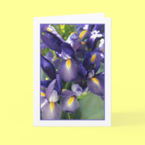 Ballet Iris Photo Greeting Card. cards