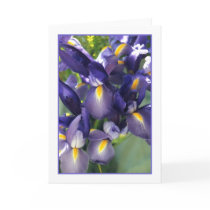 Ballet Iris Photo Greeting Card.