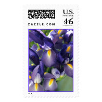 Ballet Iris Photo Stamp