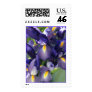 Ballet Iris Photo Stamp