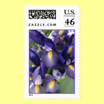 Ballet Iris Photo Stamp stamps