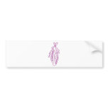 Ballet Slippers Bumper Stickers