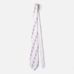 Ballet Slippers ties