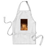 BallLightsSurround060709 Apron