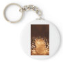 BallLightsSurround060709 Keychain