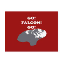 Balloon Boy - Go Falcon Go Postcard