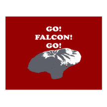 Balloon Boy - Go Falcon Go Postcard