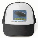 Balloon Boy Hat