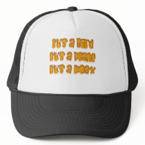 Balloon Boy Hoax Mesh Hat