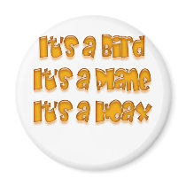 Balloon Boy Hoax Fridge Magnet