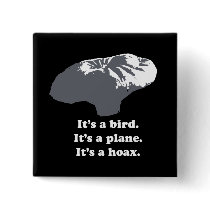 Balloon boy - It's a bird. It's a plane. It's a Ho buttons