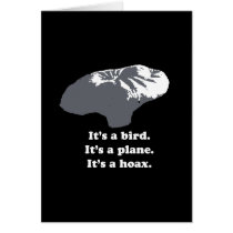 Balloon boy - It's a bird. It's a plane. It's a Ho Cards