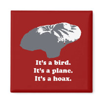 Balloon boy - It's a bird. It's a plane. It's a Ho Magnets
