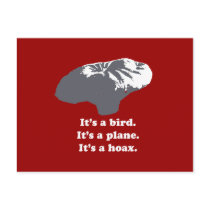 Balloon boy - It's a bird. It's a plane. It's a Ho Postcard