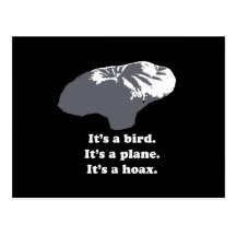Balloon boy - It's a bird. It's a plane. It's a Ho Post Card